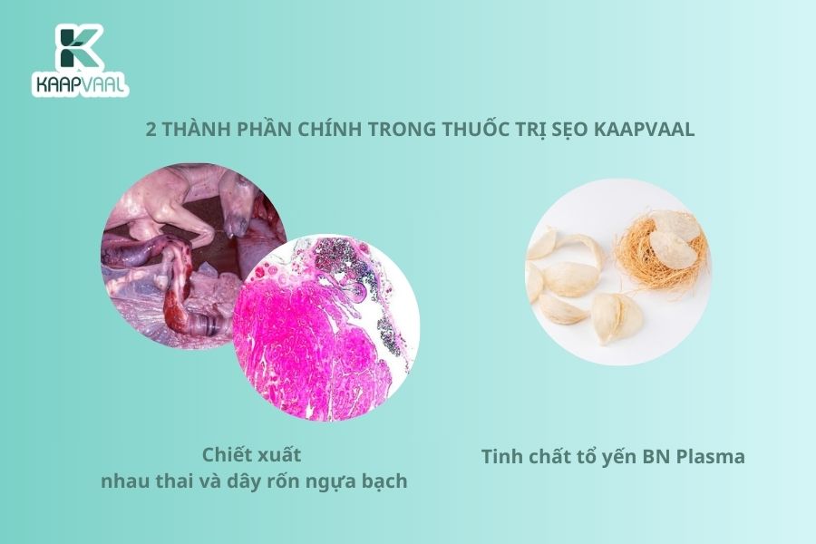 Kaapvaal - Thuốc trị sẹo hàng đầu ứng dụng Công nghệ Y học tái tạo
