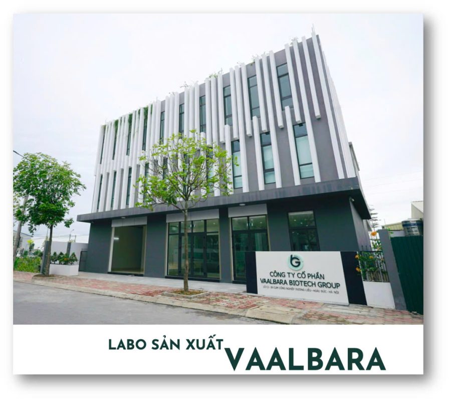 vaalbara